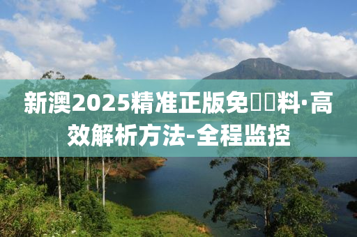 2025新澳精准正版免費資料,全面释义、解释与落实-警惕虚假宣传-全面释义、解释与落实